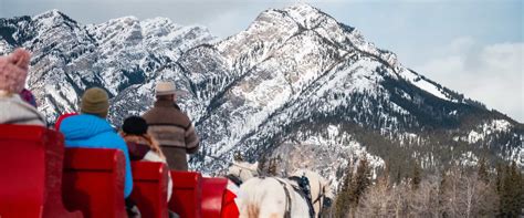 Sleigh Rides in Banff - Horse Drawn Sleigh Ride | Banff Trail Riders