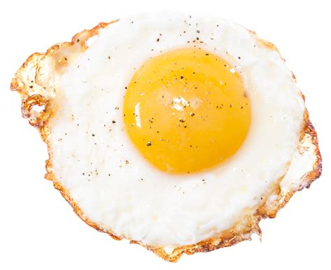 Fried Egg PNG HD Transparent Fried Egg HD.PNG Images. | PlusPNG