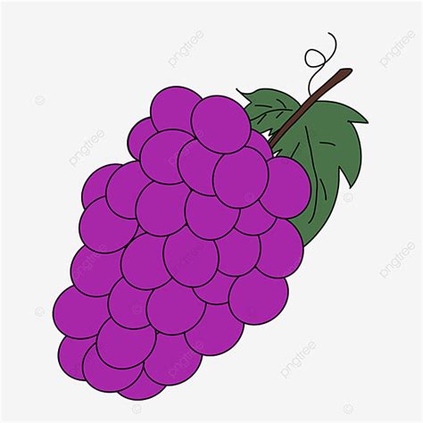 Grapes Fruit Clipart PNG Images, Fruit Grape Clip Art, Fruit, Grape, Clipart PNG Image For Free ...