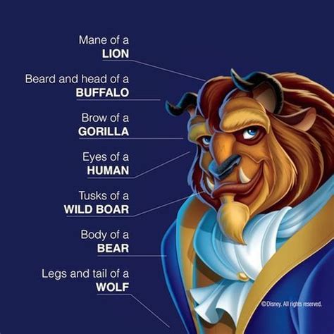 The Disney Princess Project — Beauty and the Beast Character Design ...