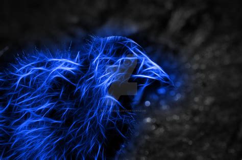 Baby Pukeko (Fractalius) 2 by jiraiyazeraki on DeviantArt