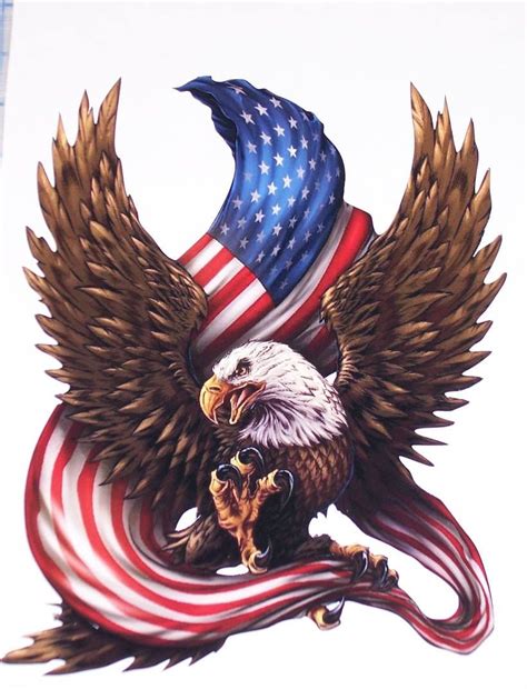 Bald Eagle Holding AMERICAN Flag RV motorhome Wall Window Graphic Decal decals Graphics Car ...