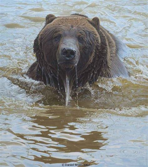 Daniel Smith Gallery | Excellent Wildlife Realism Paintings - American ...