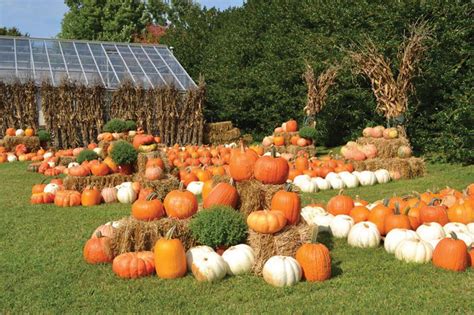 Welcome Autumn at Cheekwood Harvest–through Nov. 1