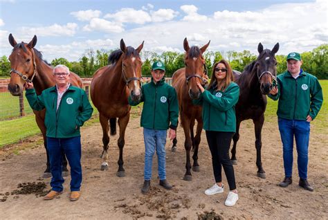 Stud Farm in Meath - Bective Stud