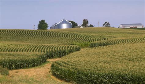 Where Is The Corn Belt? Corn Belt States - WorldAtlas.com