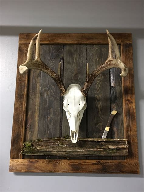 Cool Deer Skull Mounts