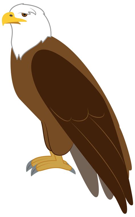 Eagle Clipart Png