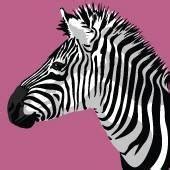 Quote Zebra