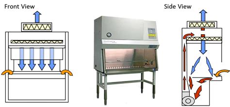 Biosafety Cabinet Certification Requirements | Cabinets Matttroy