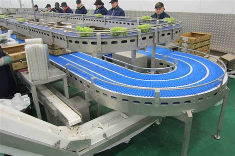 What Are the Different Types of Conveyor System?