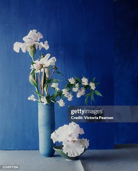 White And Blue Flower Arrangements Photos and Premium High Res Pictures - Getty Images