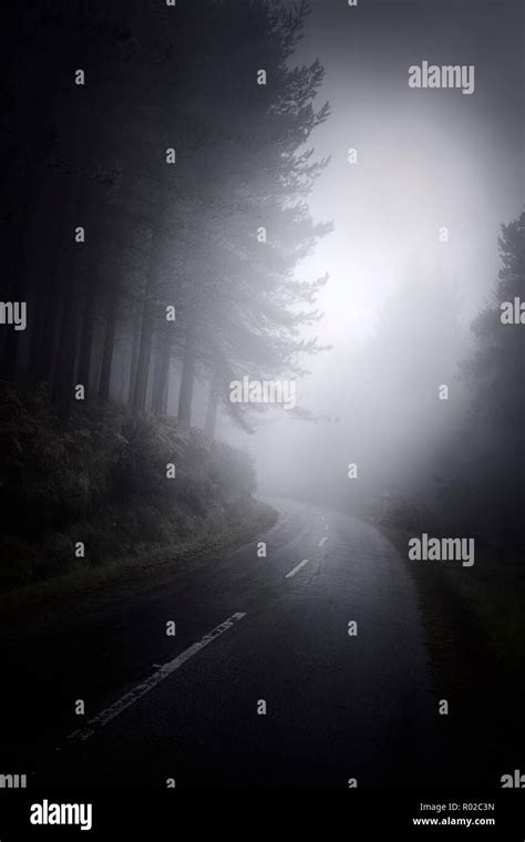 Dark foggy mountain forest road Stock Photo - Alamy