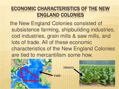 Key economic, political and social characteristics of the new england…