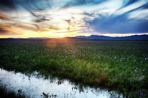 USA, Idaho, Fairfield, Camas Prairie Photograph by Terry Eggers - Fine ...