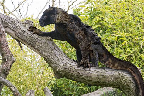 Panthergator - Incredible Animal Hybrid