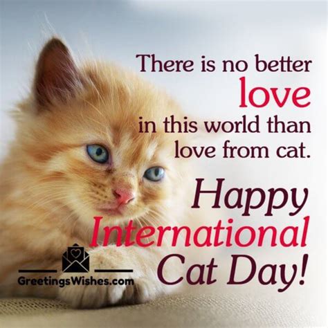 International Cat Day Messages And Quotes (8th August) - Greetings Wishes