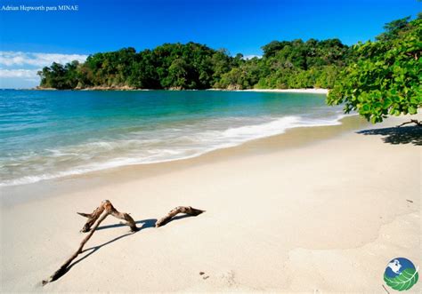 Manuel Antonio Costa Rica; Beach & National Park in Quepos