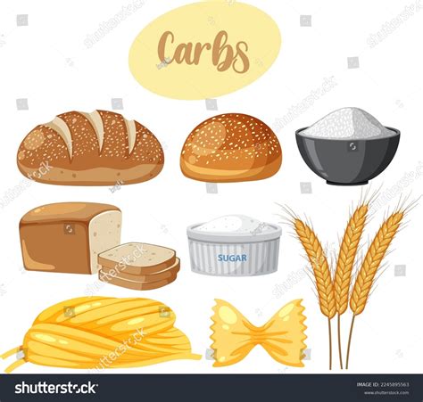 Variety Carbohydrates Foods Illustration Stock Vector (Royalty Free) 2245895563 | Shutterstock