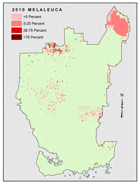 Distributions of melaleuca (Melaleuca quinquenervia) (right) and Old... | Download Scientific ...