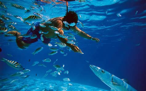 Cancun Snorkeling Tour | Snorkel the Mesoamerican Barrier Reef System