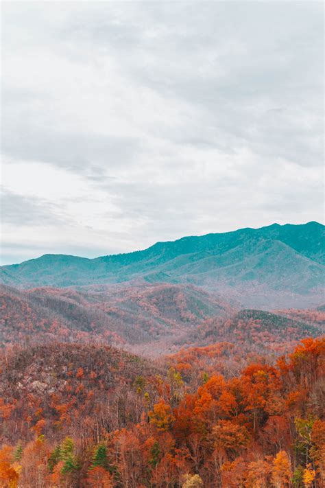 10 Smoky Mountains Attractions You NEED to Experience - The Honeyed