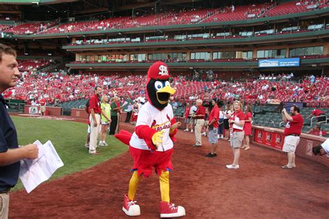 Getting on the Field at a St. Louis Cardinals Game VIDEO - JP loves LIFE!