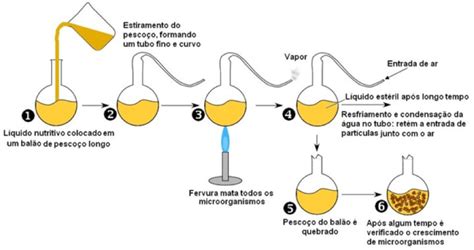 Experimento De Pasteur Biogenesis - Generación Espontánea - Experimento de louis pasteur ...