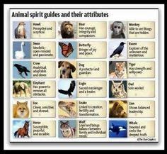 `Animal spirit guides Find Your Spirit Animal, Spirit Animal Totem ...