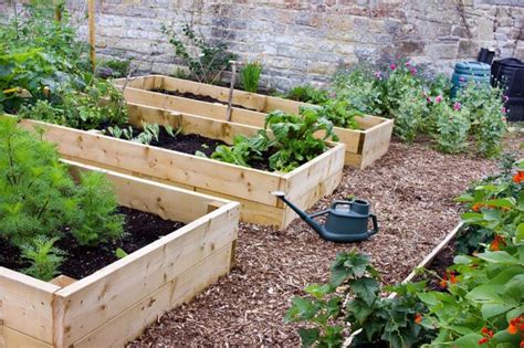 What's the Best Type of Wood for Raised Beds? - Food Gardening Network