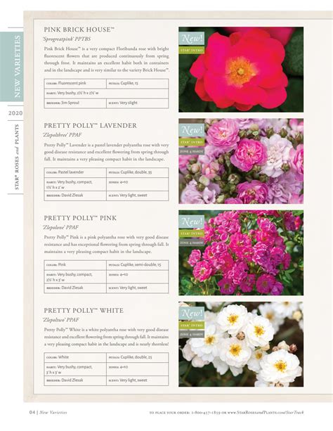 2020 Star® Roses and Plants Catalog by Star® Roses and Plants - Issuu