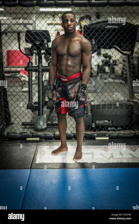 MMA fighter training Stock Photo - Alamy