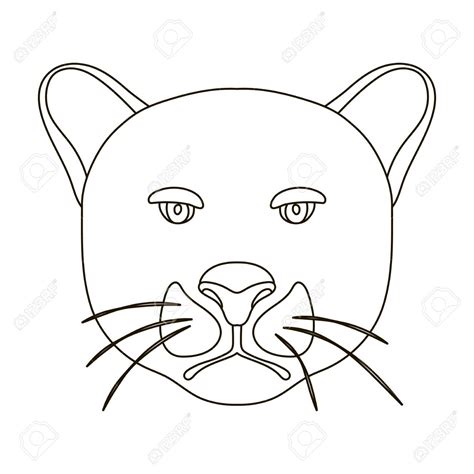 Panther Drawing Outline at GetDrawings | Free download