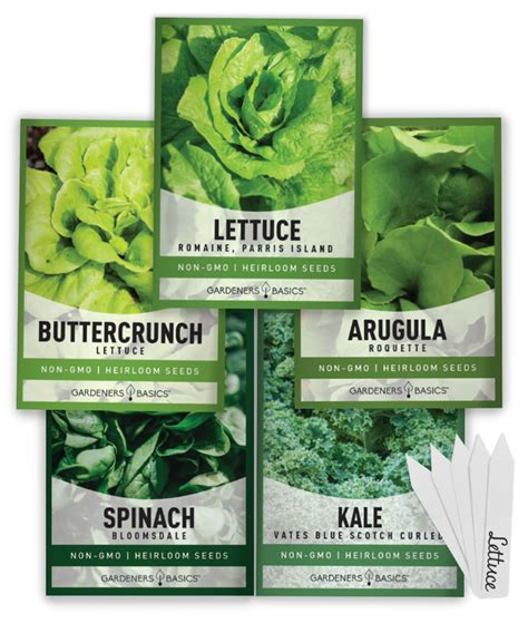 Heirloom Seed Assortments – Tagged "Lettuce" – Gardeners Basics