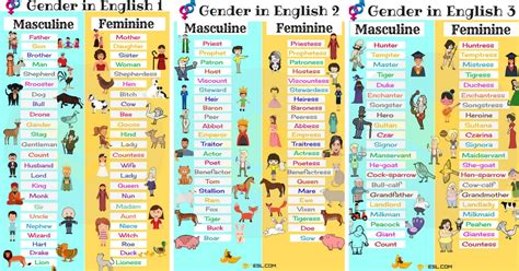 Gender of Nouns | Masculine and Feminine List in English - 7 E S L