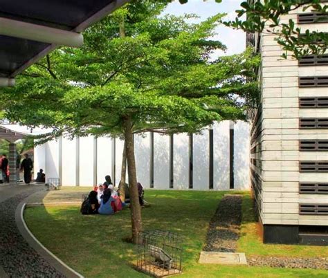 7 Jenis Pohon Peneduh untuk Taman Minimalis dan Halaman Kecil - Desain Lanskap