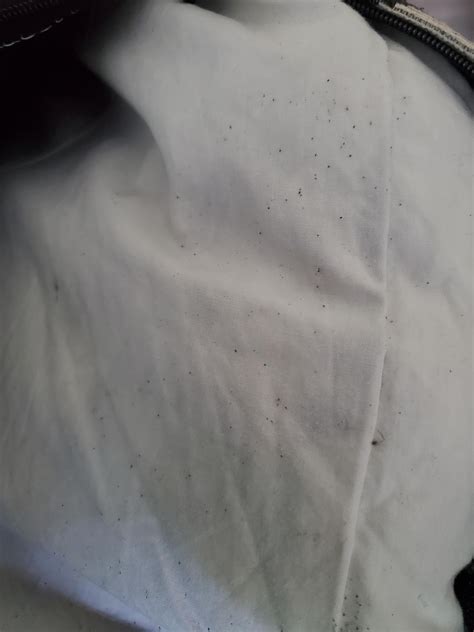 Are these bed bug droppings? If not what could it be? : r/Bedbugs