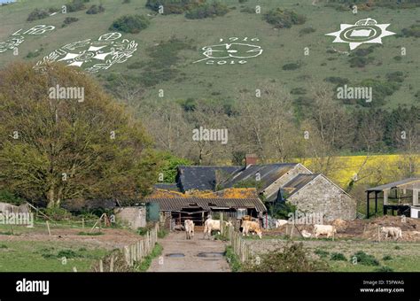 Fovant, Wiltshire, England, UK. April 2019. Regimental Fovant Badges carved into the chalk of ...