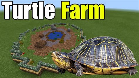 Turtle Farm | Minecraft PE - YouTube