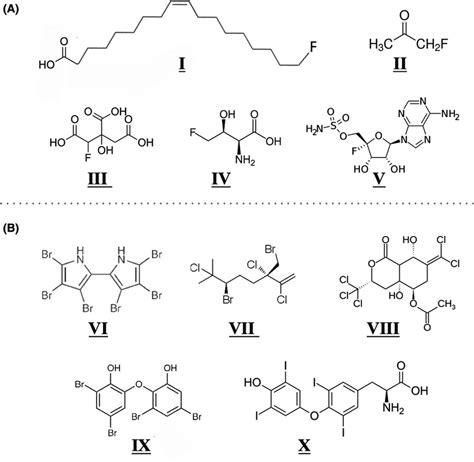 Comparing and contrasting (A) fluorinated natural products (NPs) and... | Download Scientific ...