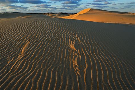 Silver Lake Sand Dunes Photograph by Dean Pennala - Fine Art America