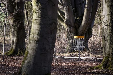 HD wallpaper: grass field, Gävle, Disc Golf, Frisbee, Shadows, nature ...