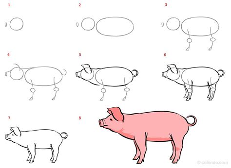 How To Draw A Pig Step By Step