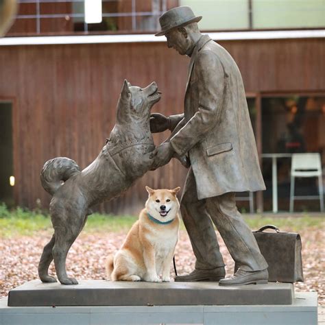 A Shiba Inu posing at a variation of Hachiko the loyal dog statue - 9GAG