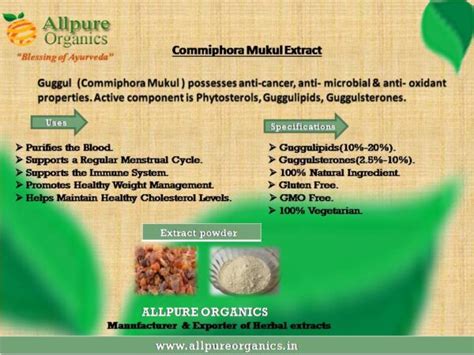 Commiphora mukul Extract manufacturer, order fro allpure organics