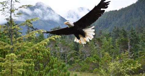 Sitka Wildlife Parks | ALASKA.ORG