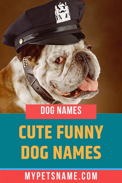 Cute Funny Dog Names | Funny dog names, Dog names, Dog puns