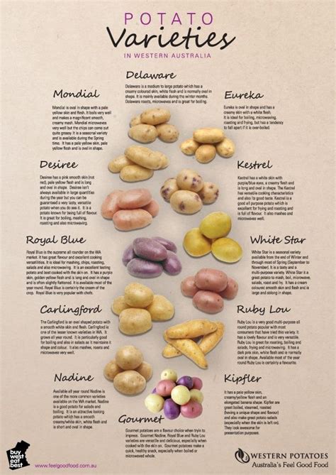 Pin by Rhonda on Cuisine: Infographies, Trucs et Astuces | Potato varieties, Cooking, Cooking basics