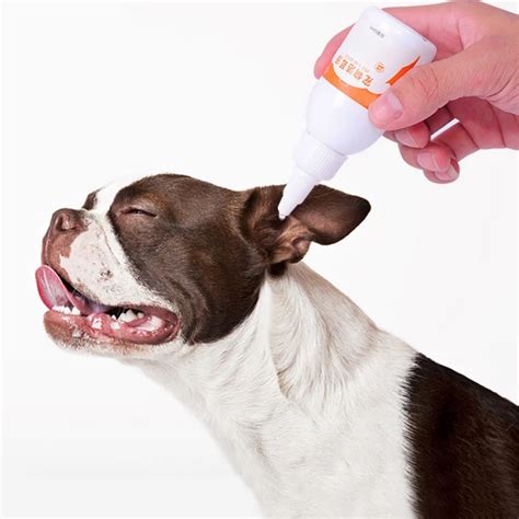 Keep Ear Health Dog Ear Cleaner Pet Stain Odor Removers Effective Keep ...