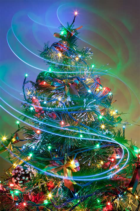 'Tis the Season for Christmas Tree Lightings | LongIsland.com